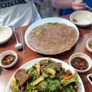 오생별미묵집 | 🏕️ 수레의산 캠핑장 카라반 여행 &amp; 청주 미리내 카라반 정비기