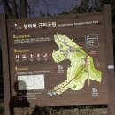 봉화대근린공원 - 2439 | 봉화대근린공원