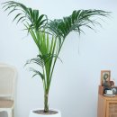 하림부동산공인중개사사무소 이미지