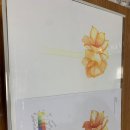 [실천학교]보타니컬 아트 색연필로 꽃 그림 | 약 8주간 진행되었던 RC 보타니컬아트 후기!