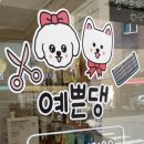 예쁜댕 이미지