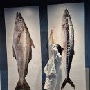 삼일로5 | 우리 가족 제주 여행 &#39;휘닉스 아일랜드&#39;근처 놀 거리