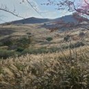 상구황토한우 이미지