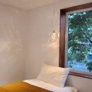 스테이 두리 이미지