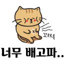 속초할머니횟집 이미지