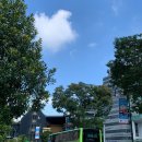 SMU 싱가포르 교환학생 후기 50문 50답