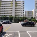 수원-1274 Daum카페