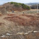 광시면동산리 버스정류장 이미지