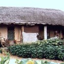 고향초가집 이미지