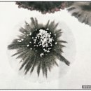 먹캘리그라피과정 이미지