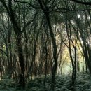 청수미가 이미지