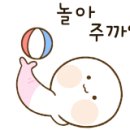 캄이스트