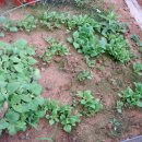 다은농장 이미지