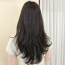 홍대 미용실 염색 매트브라운 앤오프 여자 르세라핌 김채원머리 레이어드컷 후기