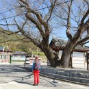 상죽마을회관 이미지