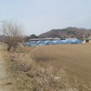 신초우목장 이미지