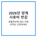 산정축산 | [2026년] 양계농가 사료 효율개선제 지원 신청방법 및 50% 보조금 혜택 총정리