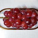 홍주농장 이미지