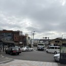 합계마을 | 교토 가족 여행(4) - 말차의 천국 우지마을 솔직 후기