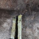 동서울자동차공업사 이미지