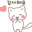 텐퍼센트반여선수촌점