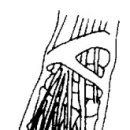 경희자연채한의원 이미지