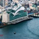 부산자갈치 이미지