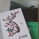 심훈기념관 | 상록수 - 심훈 그리고 최용신