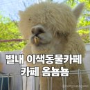 씨유 별내청학로점 | ​[별내 카페] 아이와 함께 알파카를 만나는 이색 동물 카페 카페 옴뇸뇸 후기