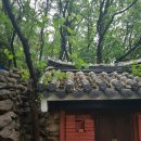 장산천 Daum카페