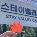인제 스테이 밸리 캠핑 이미지