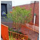 햇빛주는 약국 이미지