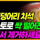 세균덩어리 치석 토마토로 싹 떨어진다/집에서 제거 하세요 이미지