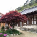 우명리정씨고가(효리댁)