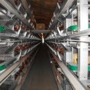 구구농장 이미지