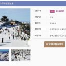 동백여행사