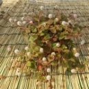 씨지비엔터테인먼트 이미지