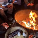 별길따라 | 2026년 최신 조슈아트리 투어 내돈내산 추천, 후기, 가격, 할인, 여구가 별멍투어