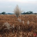 용머리고을 이미지