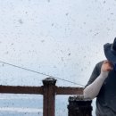 바글바글