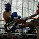 흥룡초교 이미지