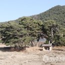 상고현 티스토리