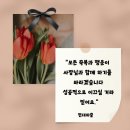 일구구사서울(1994SEOUL)