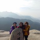 희망공원 배드민턴장 이미지