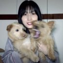 본아베띠 | 이빨 사이 낀 스파게티 빼고싶니? 본아베띠