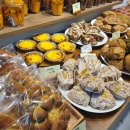 JS메디플러스 이미지