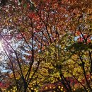 (주)화담