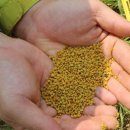 경화농장 이미지