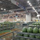 호남청과 이미지