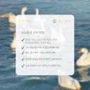 보훈회관 앞 | [원주 명륜동] 키시빌리지 | 원주 속눈썹펌 후기💫 키시빌리지에서 블랙틴팅펌 받고 인생속눈썹 완성!